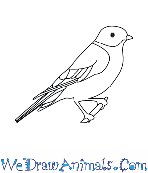 Blue Bird Drawing Stunning Sketch