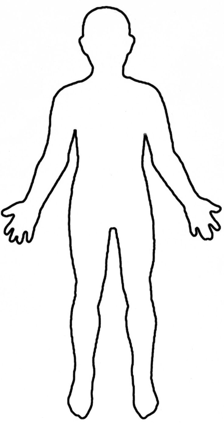 Body Outline Drawing Detailed Sketch