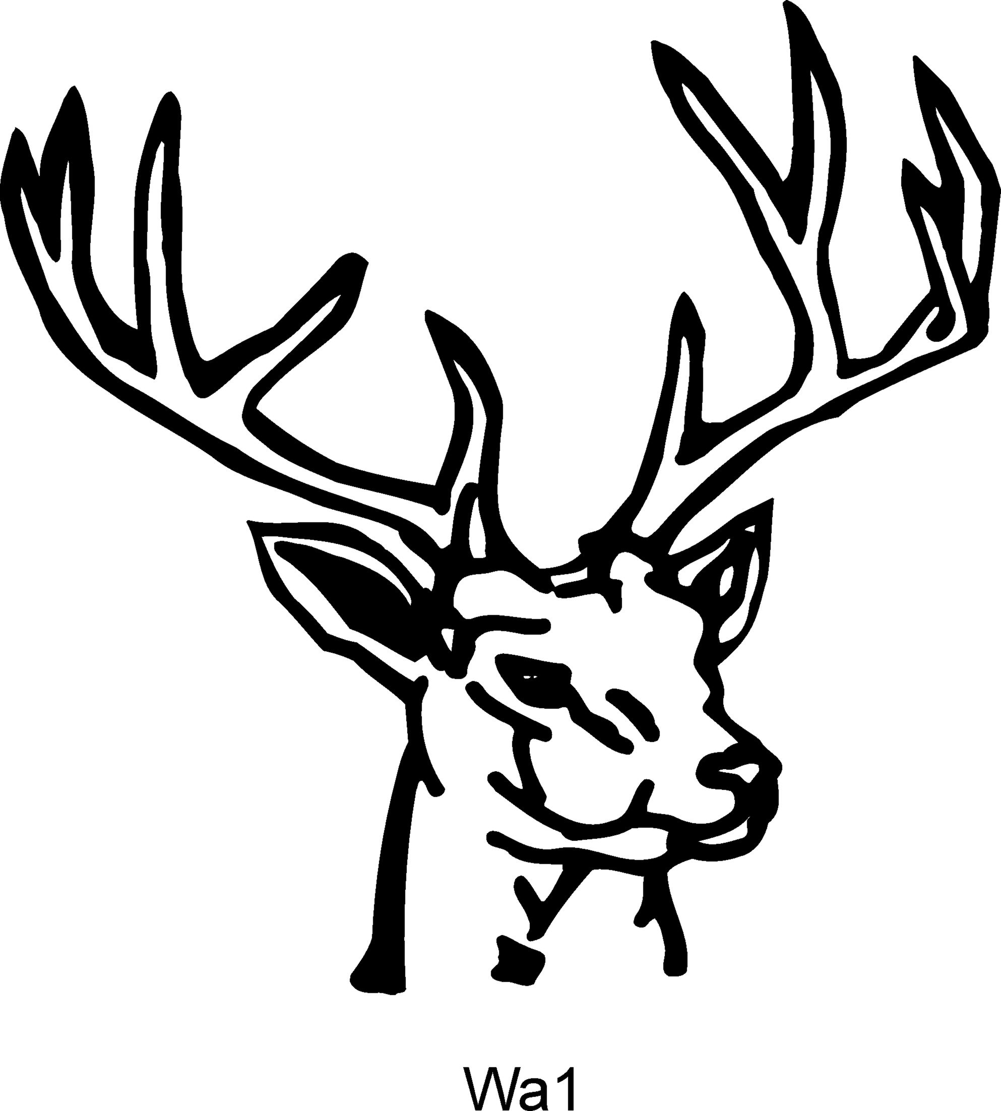 Buck Drawing Creative Style