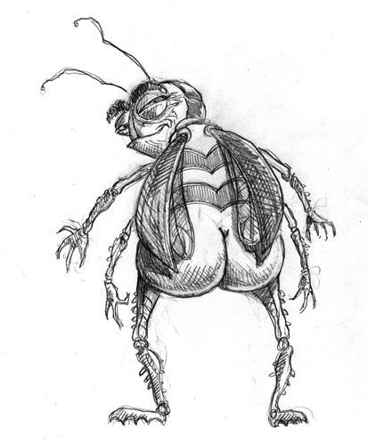 Bug Drawing Hand drawn