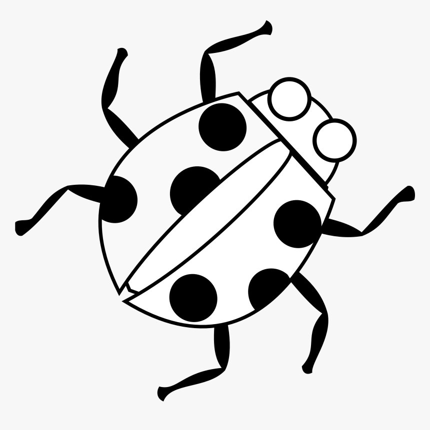Bug Drawing Unique Art