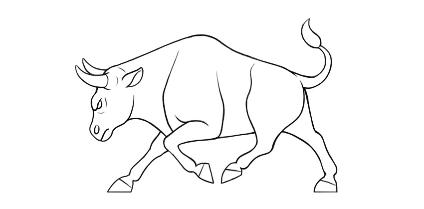 Bull Drawing Amazing Sketch