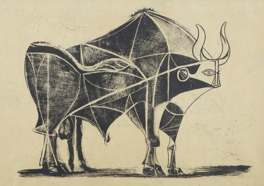 Bull Drawing Creative Style