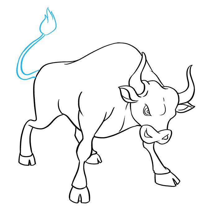 Bull Drawing Detailed Sketch