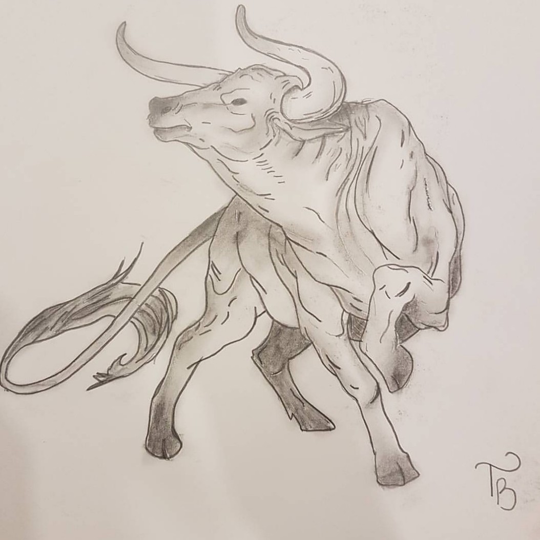 Bull Drawing Intricate Artwork