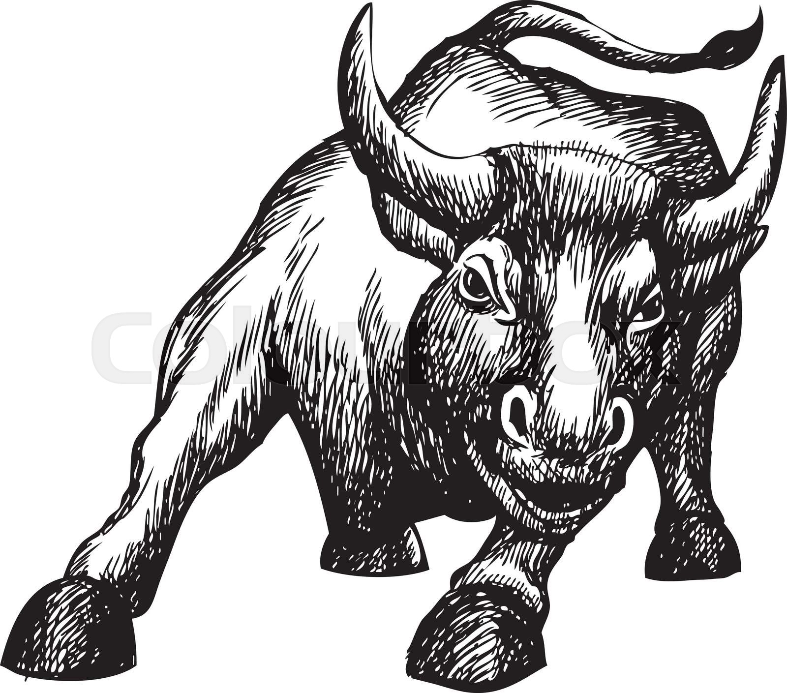 Bull Drawing Modern Sketch