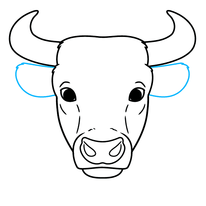 Bull Drawing Picture
