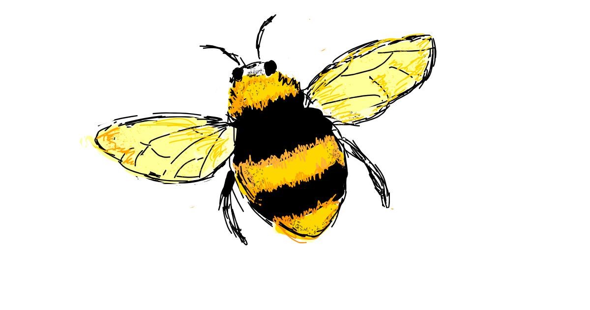 Bumblebee Drawing Fine Art
