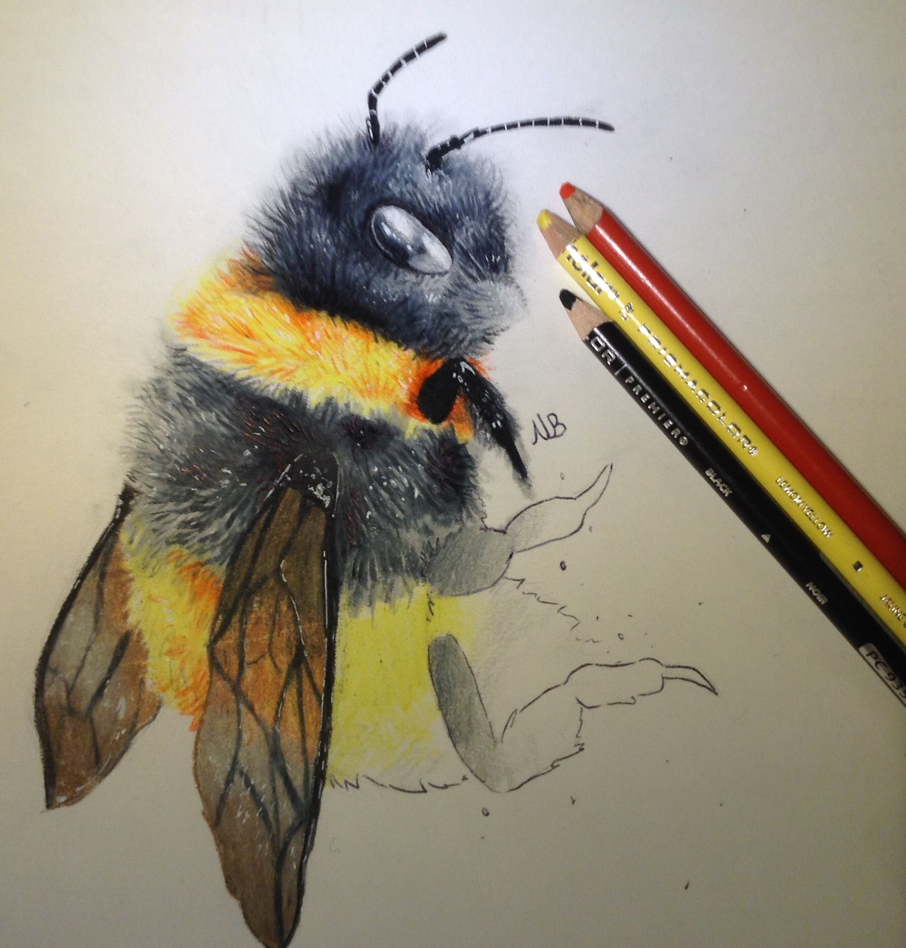 Bumblebee Drawing Sketch