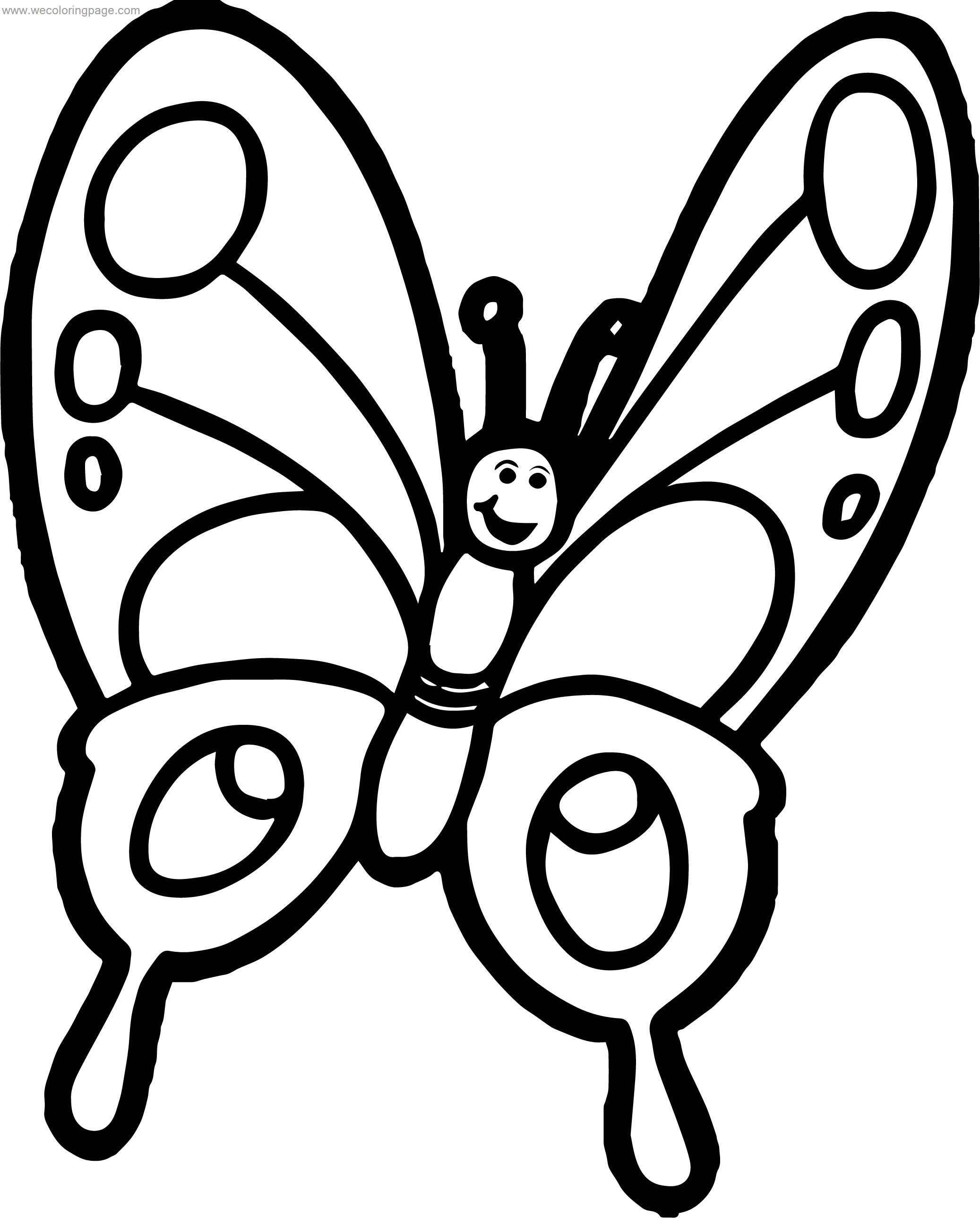 Butterfly Cartoon Drawing Photo