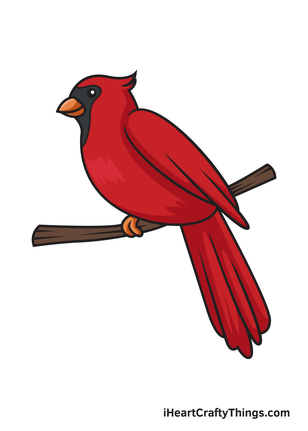 Cardinal Drawing Creative Style