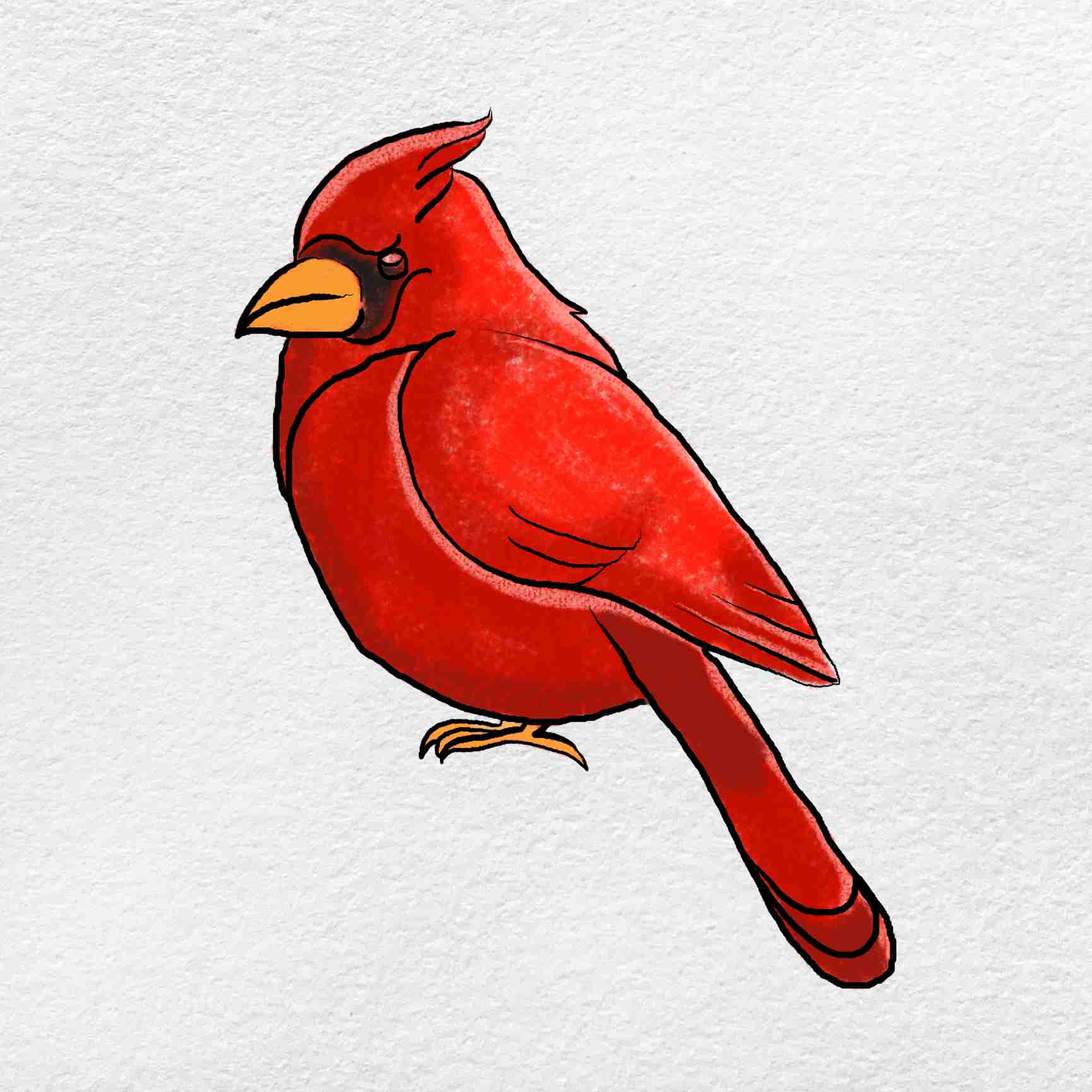 Cardinal Drawing Intricate Artwork
