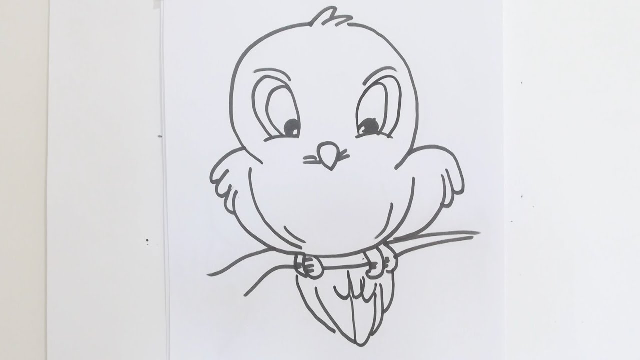 Cartoon Bird Drawing Art