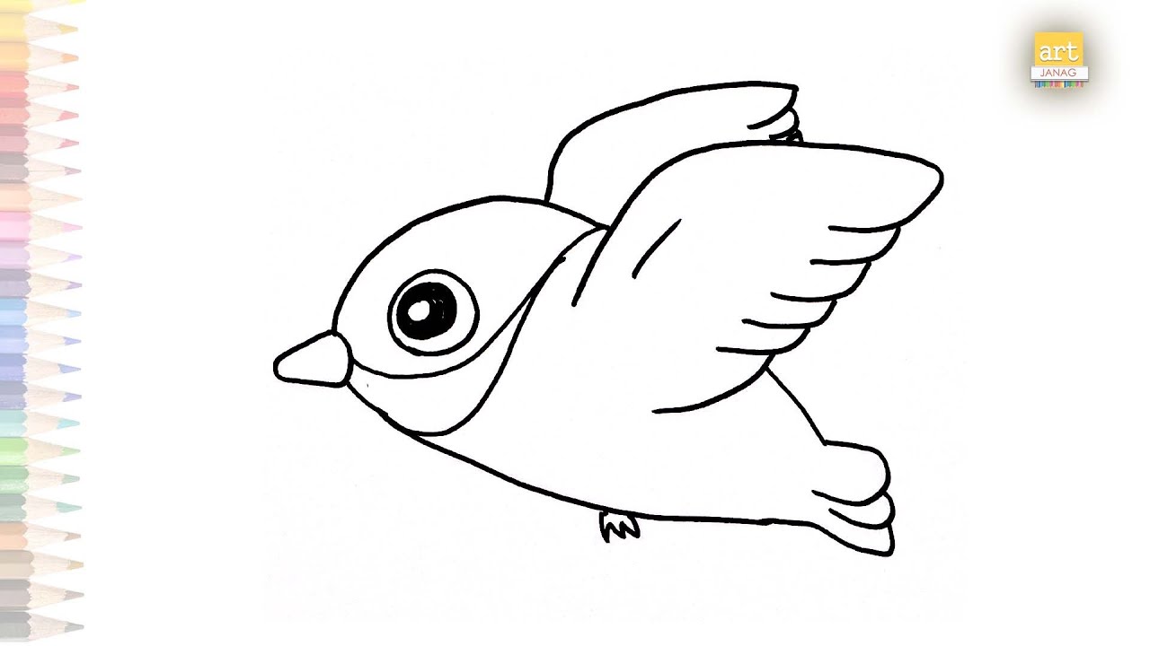 Cartoon Bird Drawing Hand drawn Sketch