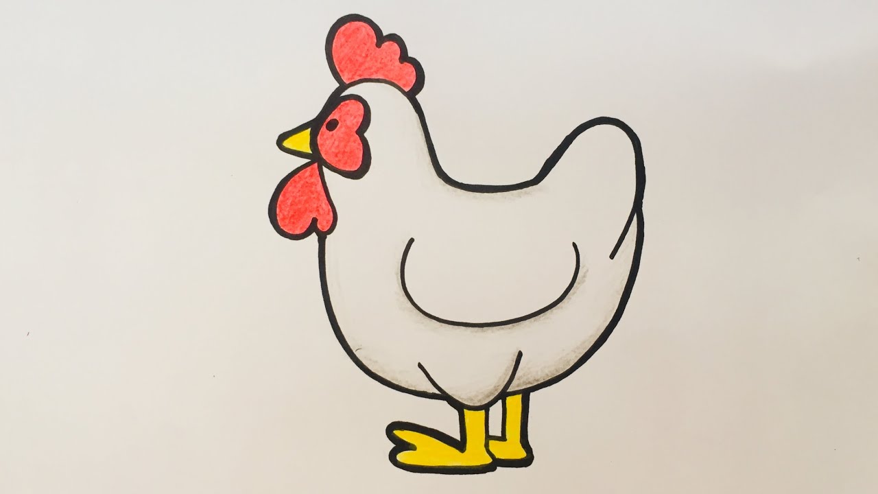 Cartoon Chicken Drawing Modern Sketch