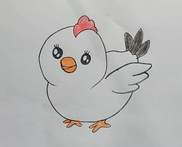 Cartoon Chicken Drawing Realistic Sketch