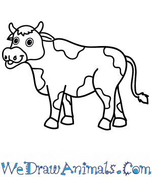 Cartoon Cow Drawing Hand drawn