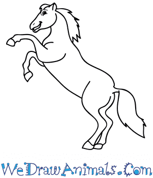 Cartoon Horse Drawing Art