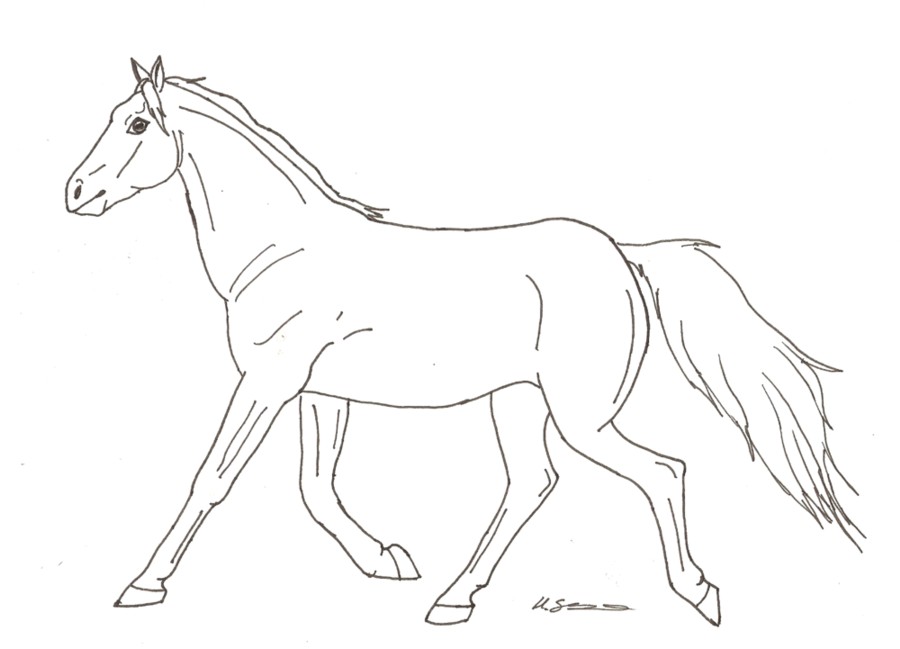 Cartoon Horse Drawing Intricate Artwork