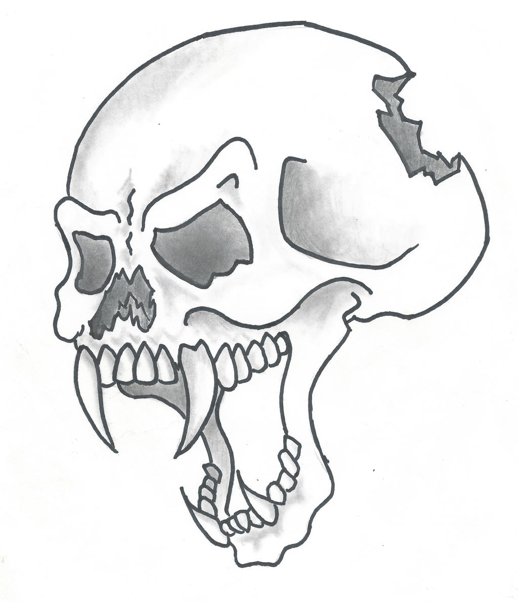 Cartoon Skull Drawing Artistic Sketching
