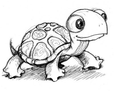 Cartoon Turtle Drawing Art