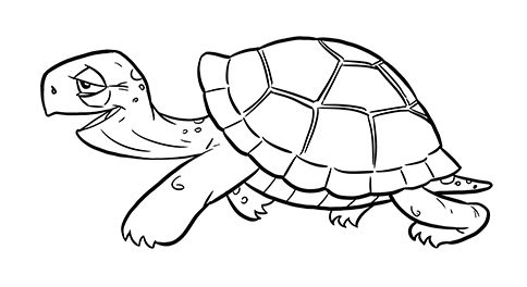 Cartoon Turtle Drawing Hand drawn Sketch