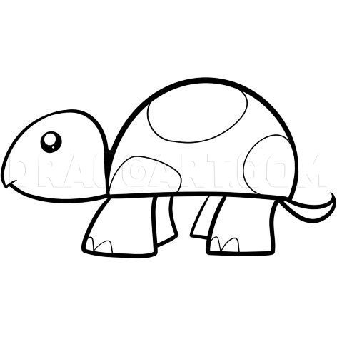 Cartoon Turtle Drawing Sketch