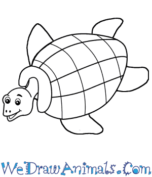 Cartoon Turtle Drawing Stunning Sketch