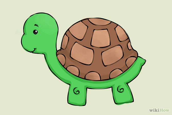 Cartoon Turtle Drawing