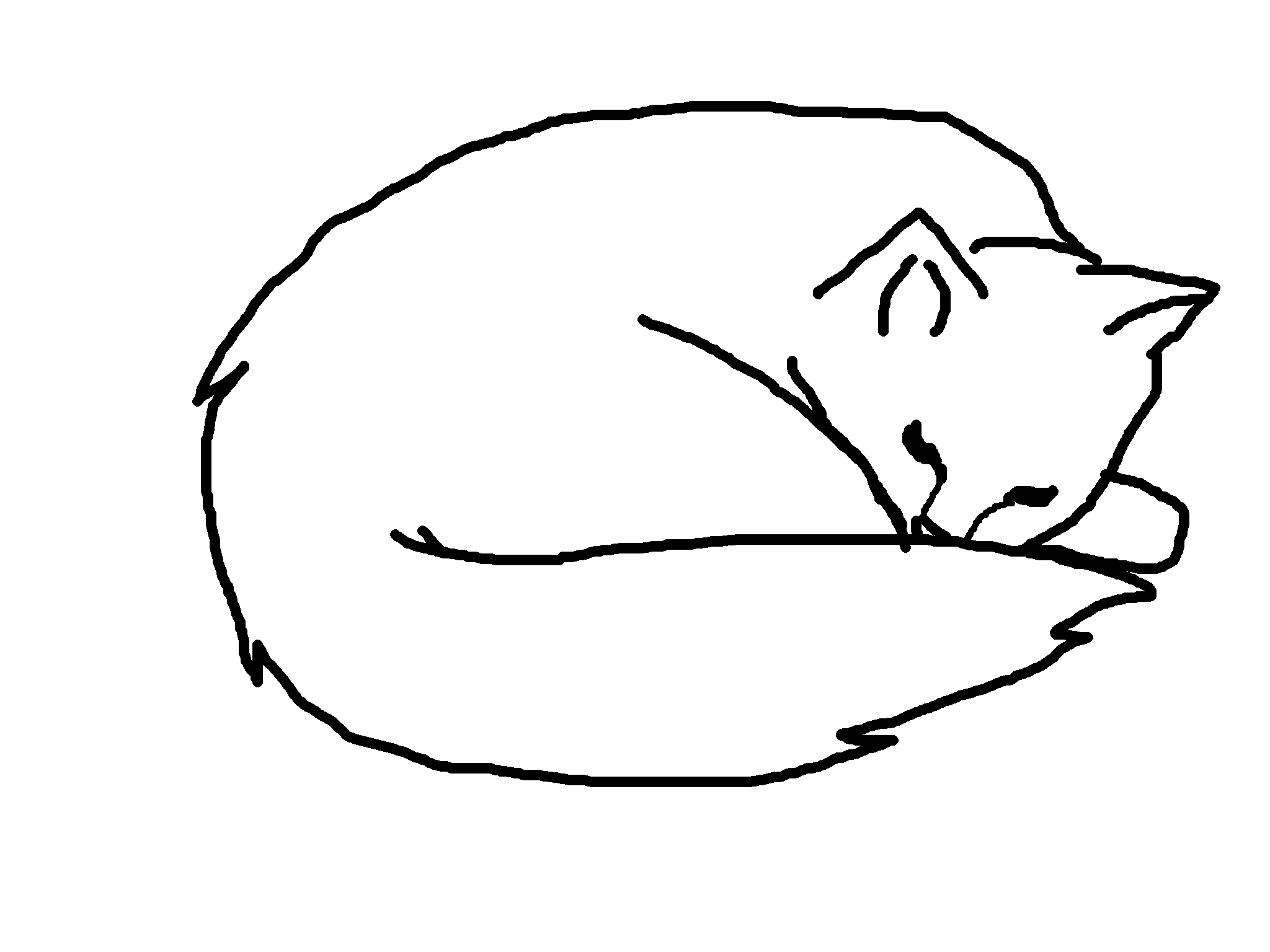 Cat Outline Drawing Hand Drawn