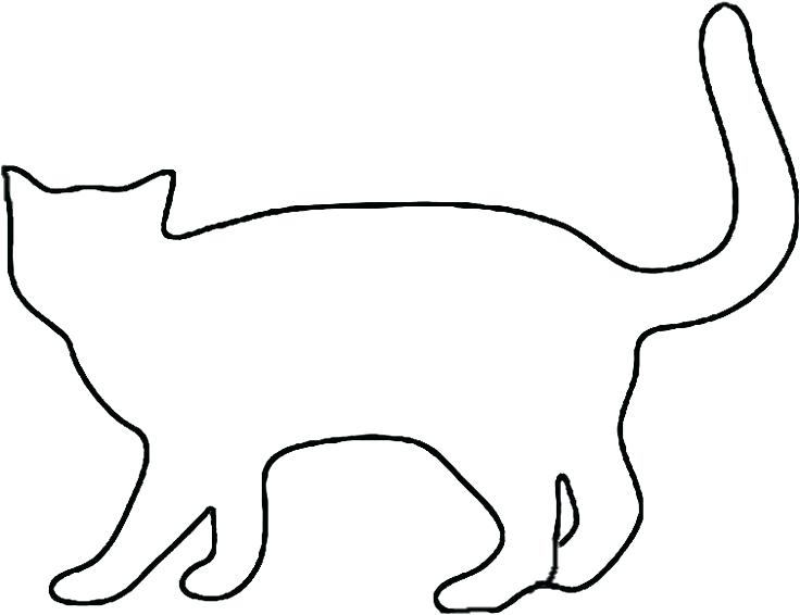 Cat Outline Drawing Realistic Sketch