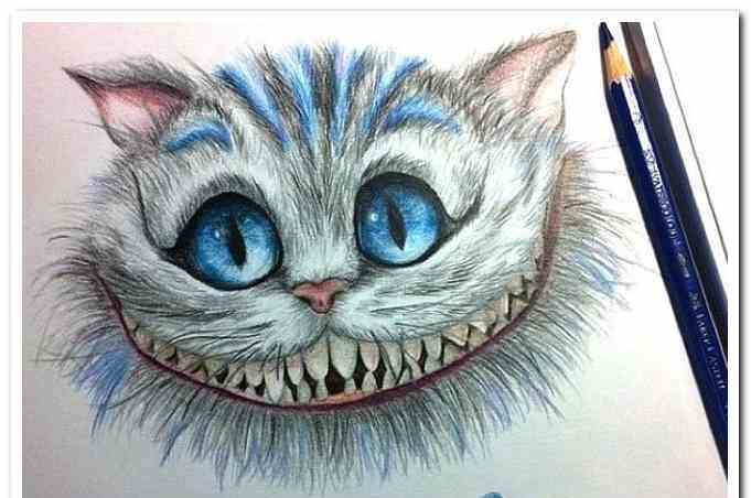 Cheshire Cat Drawing Artistic Sketching