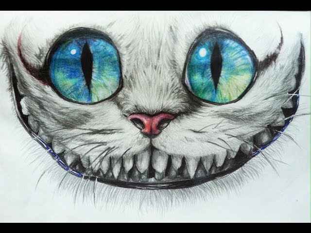 Cheshire Cat Drawing Modern Sketch