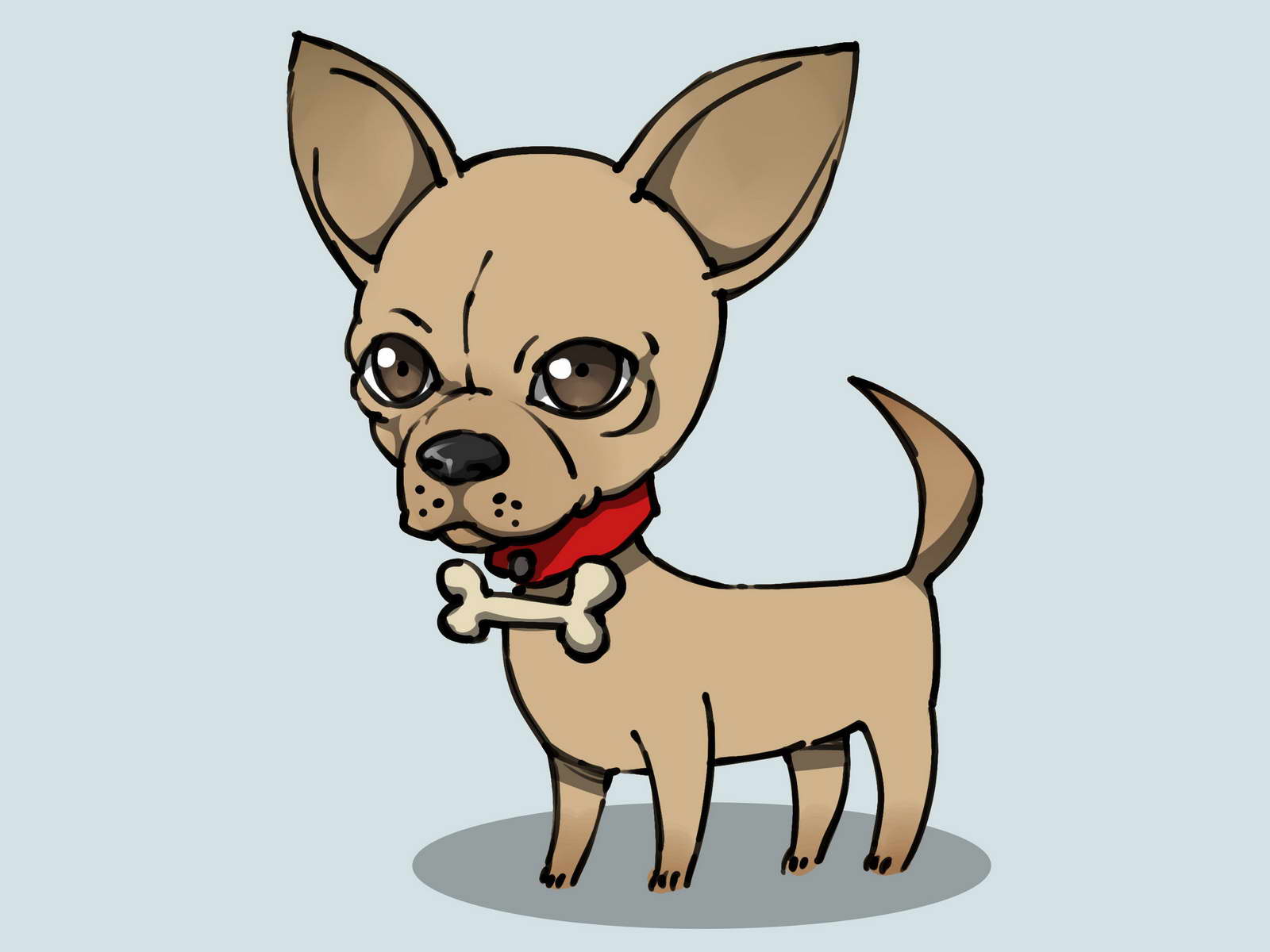 Chihuahua Drawing Picture
