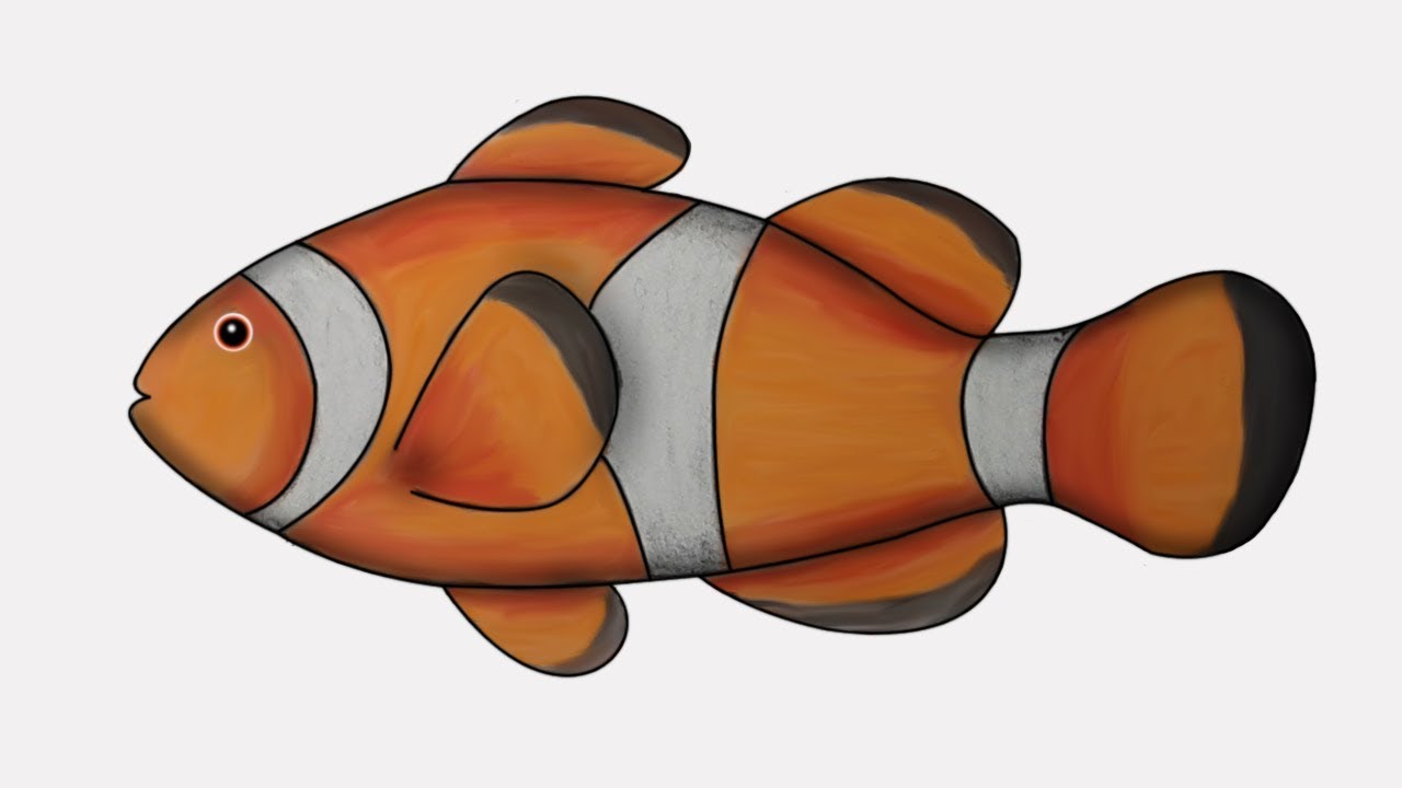Clownfish Drawing Image