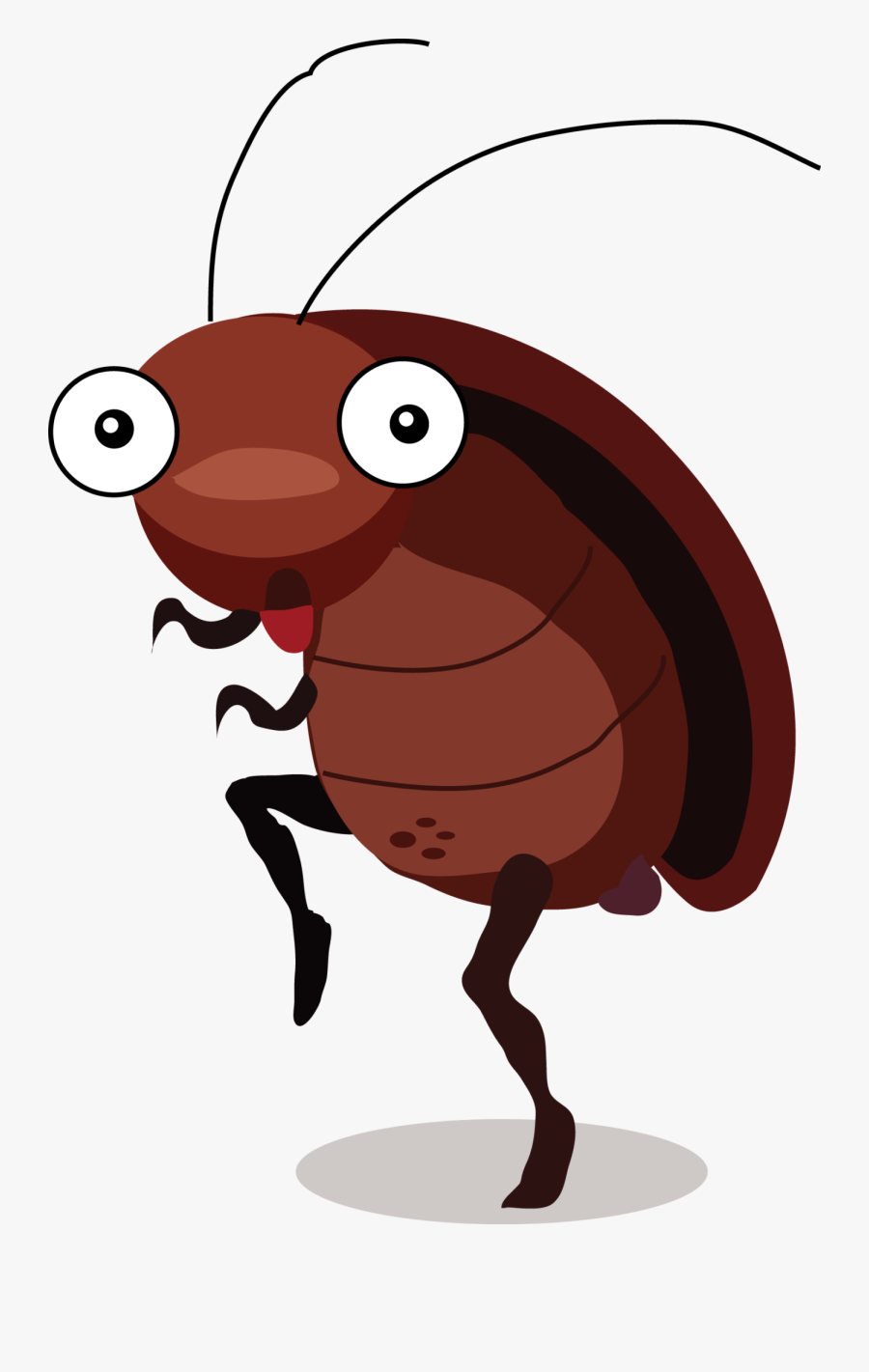 Cockroach Drawing Creative Style