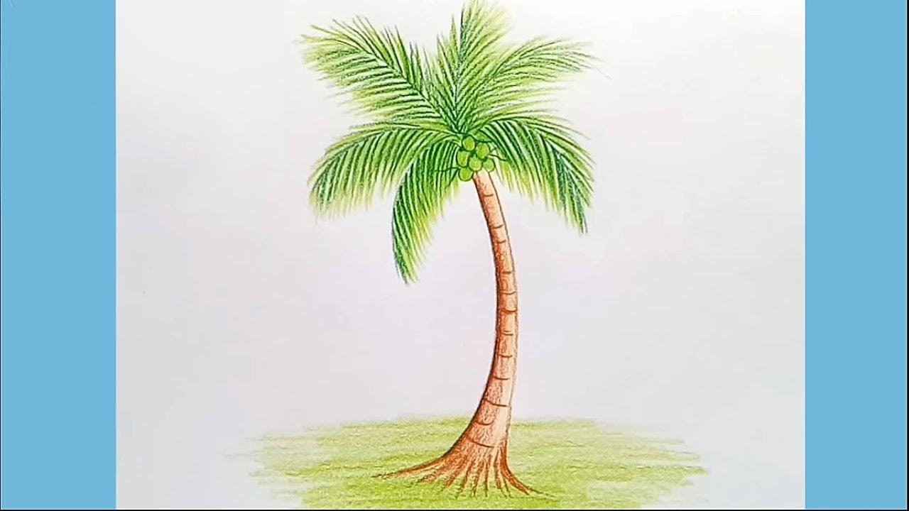Coconut Tree Drawing Intricate Artwork