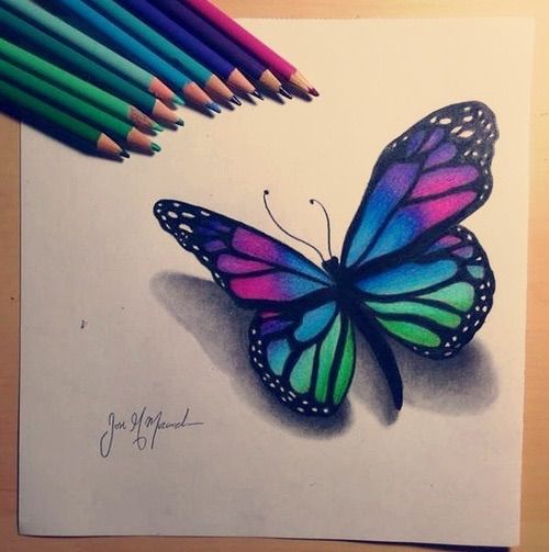 Color Butterfly Drawing Fine Art