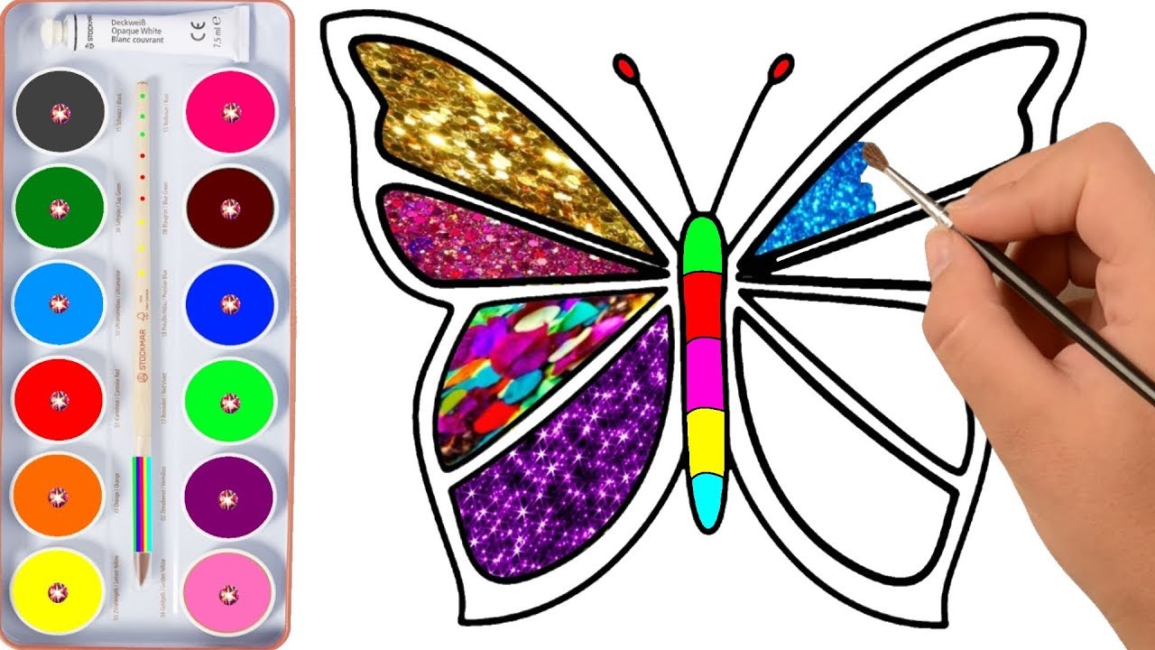 Color Butterfly Drawing Realistic Sketch