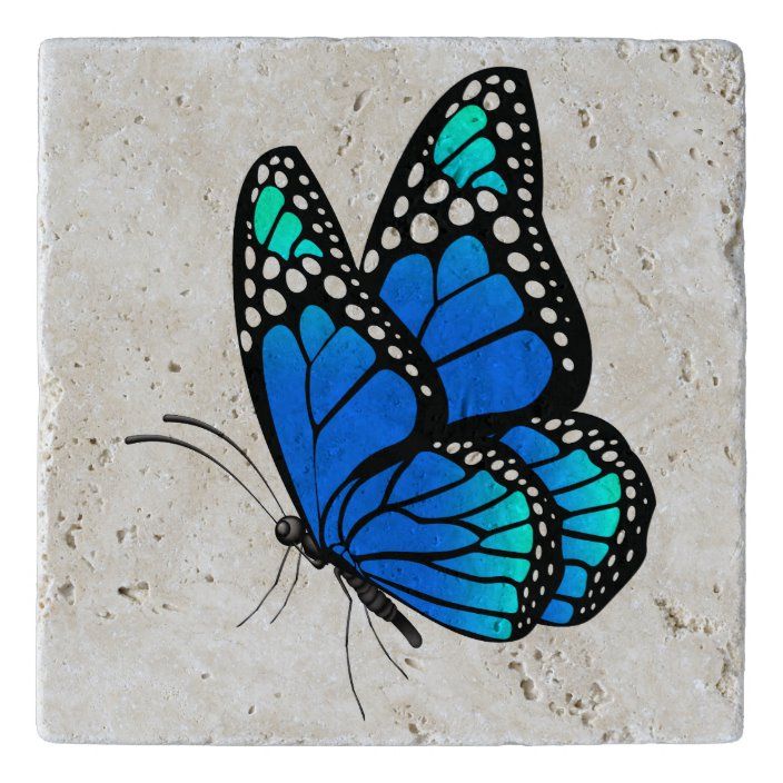 Color Butterfly Drawing