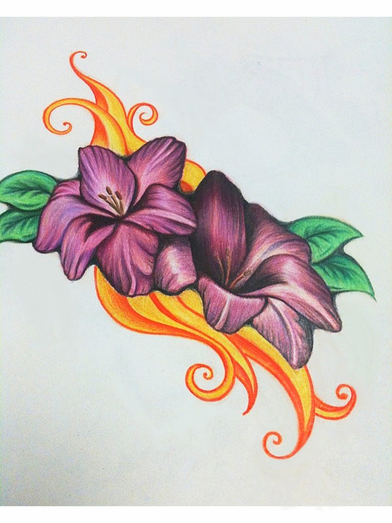 Colorful Flowers Drawing Amazing Sketch