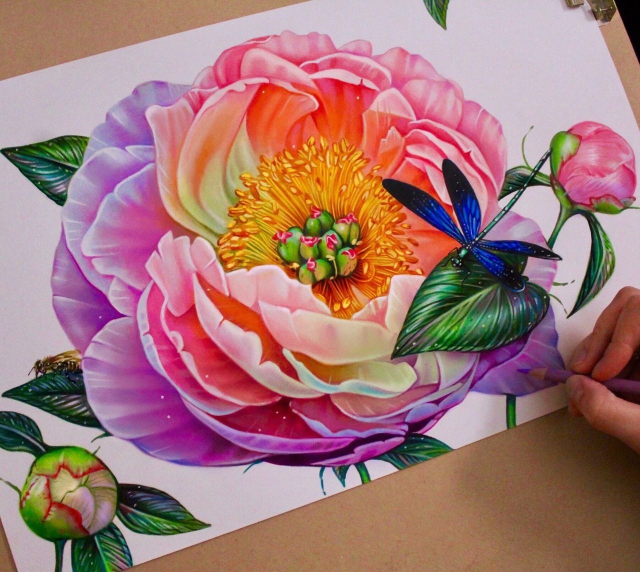 Colorful Flowers Drawing Image