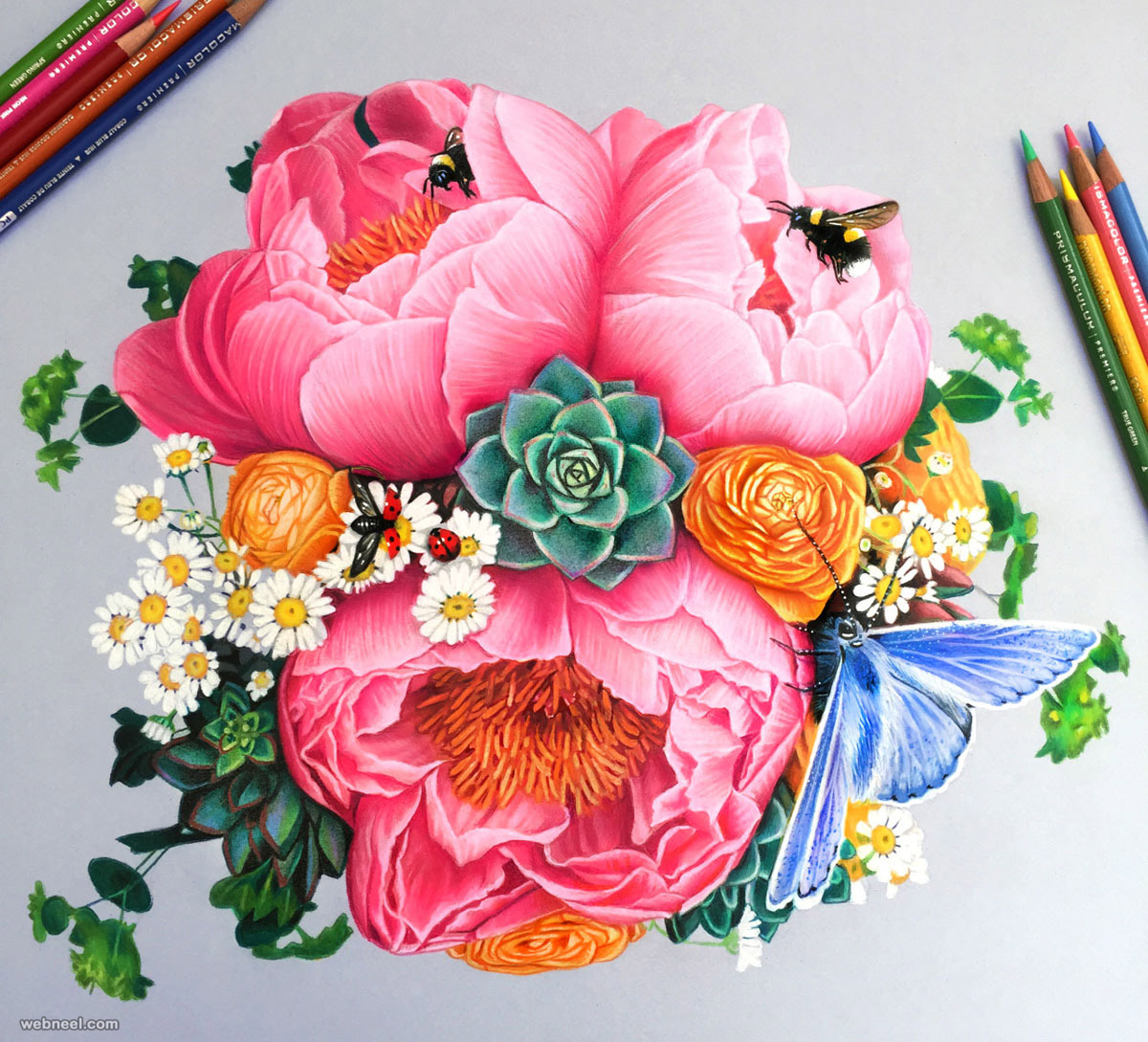 Colorful Flowers Drawing Intricate Artwork