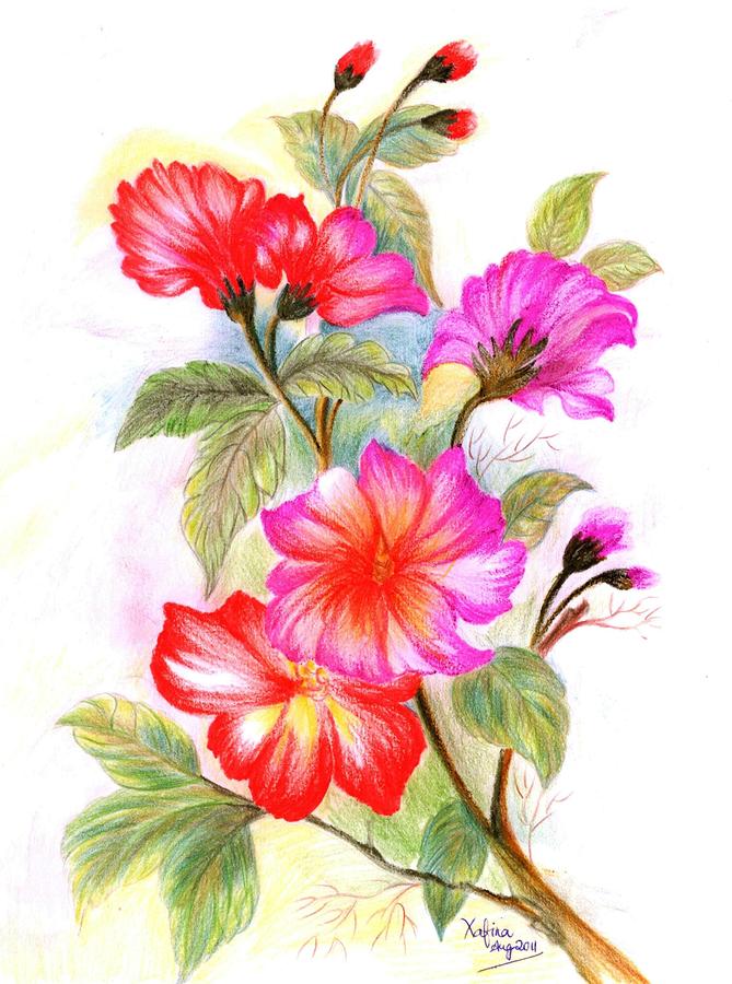 Colorful Flowers Drawing Modern Sketch