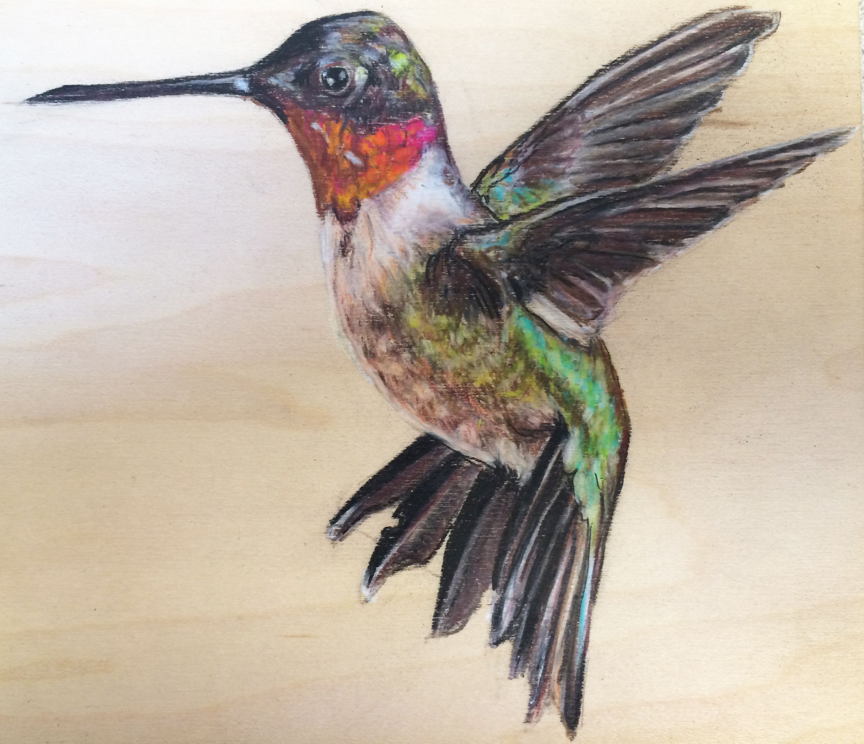 Colorful Hummingbird Drawing Artistic Sketching