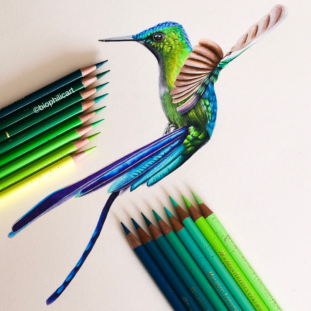 Colorful Hummingbird Drawing Unique Art