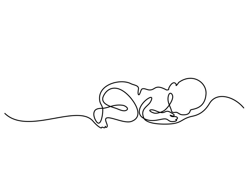 Continuous Line Drawing Creative Style