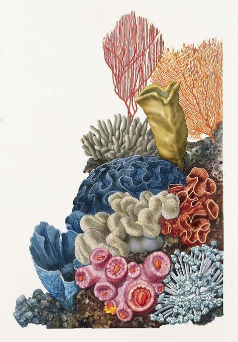 Coral Drawing Unique Art
