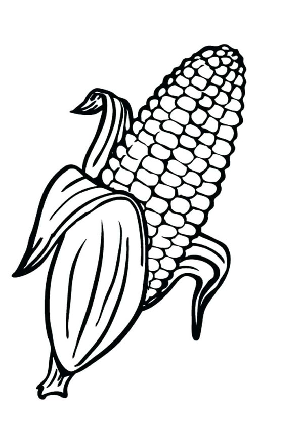 Corn Drawing Amazing Sketch