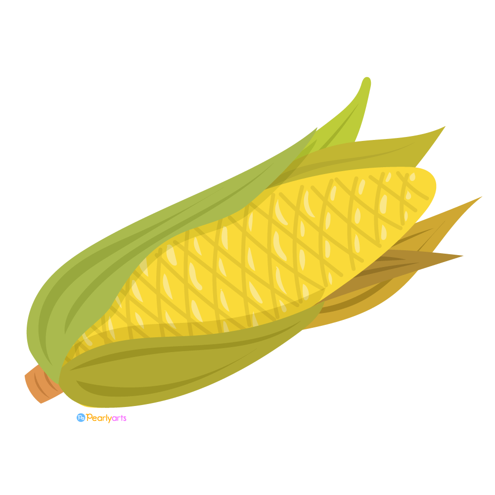 Corn Drawing Art